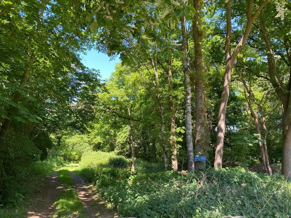 Huisje Buurserbeek Apartment in Overijssel (province)