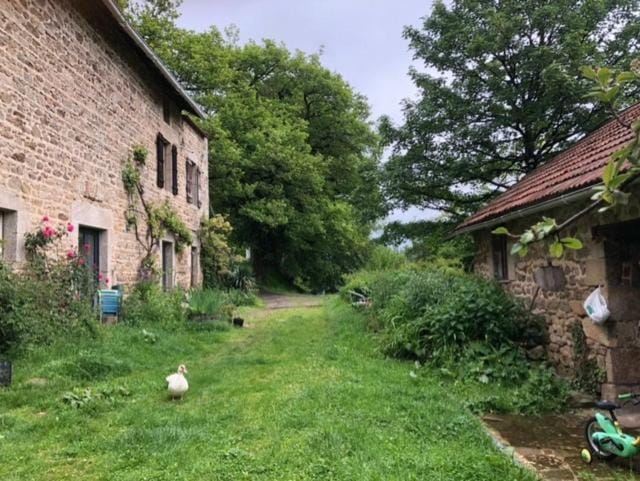 Les Abeilles Apartment in Nouvelle-Aquitaine