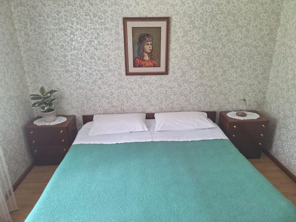 Apartma Ferjan Apartment in Friuli-Venezia Giulia