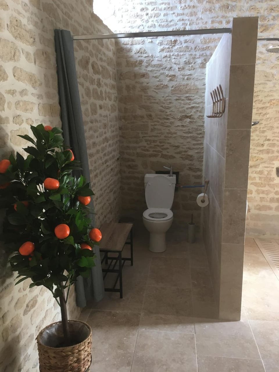 Toilet, Swimming pool