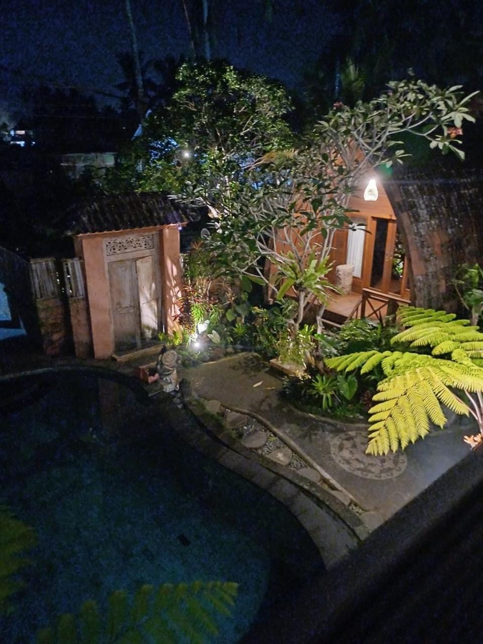 Night, Garden, Garden view