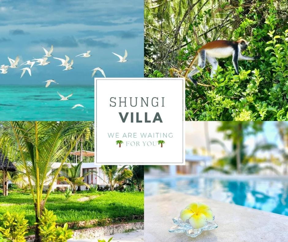 Shungi Villa Zanzibar Trips Included from 3 nights Villa in Tanzania