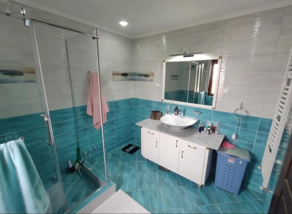 Shower, Toilet, dryer