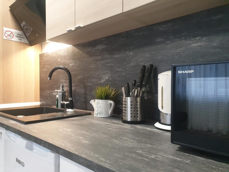 Suite Sandra Apartament Apartment in Leba