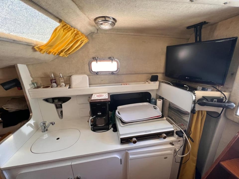 boat home Cannes Festival Docked boat in Mandelieu-La Napoule