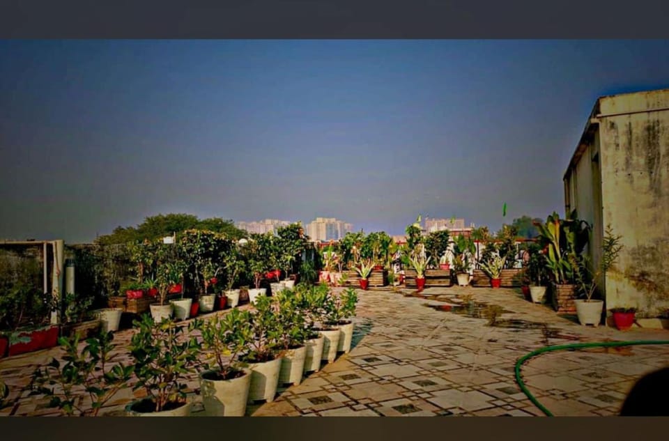 Balcony/Terrace, Balcony/Terrace