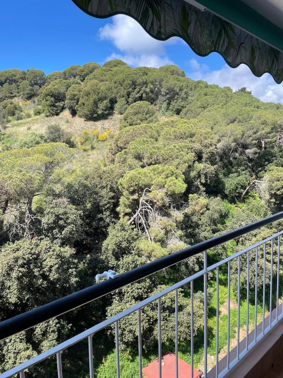 Flat with birdsongs & character! Apartment in Calella