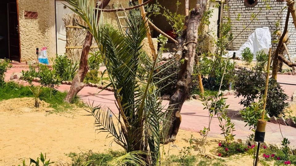 ادرار احكيك Hotel in Egypt