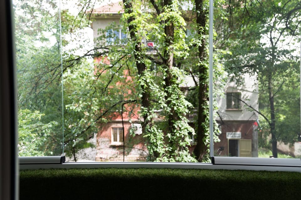 Spring, Natural landscape, View (from property/room), Garden view