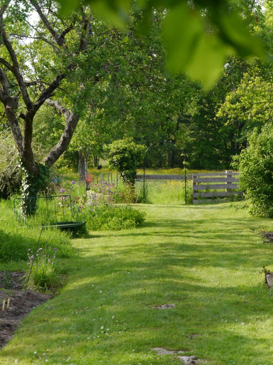 Natural landscape, Garden