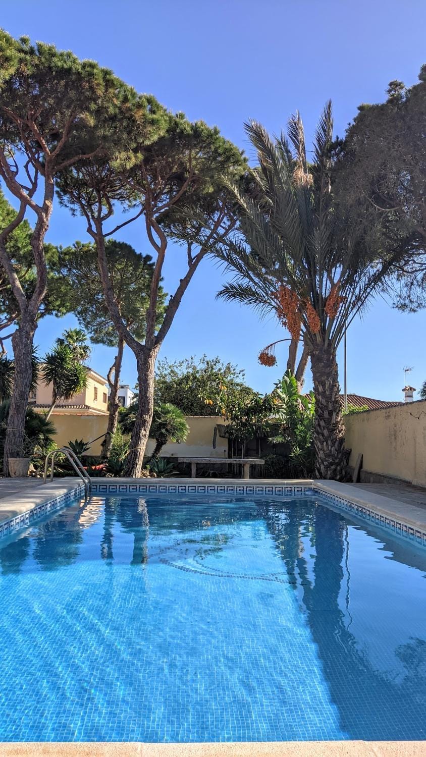 Garden, Garden view, Pool view, Swimming pool, Swimming pool, sunbed