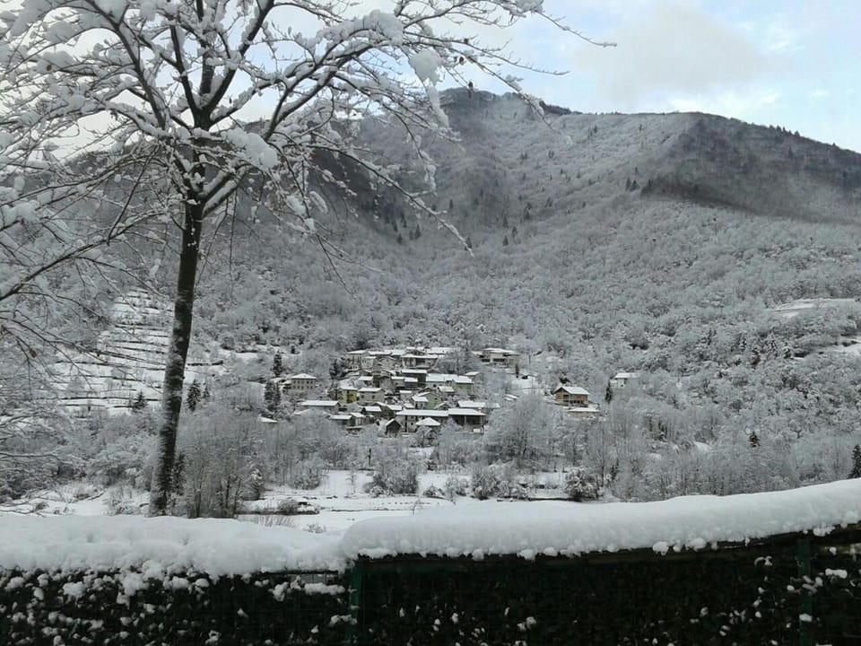 Winter