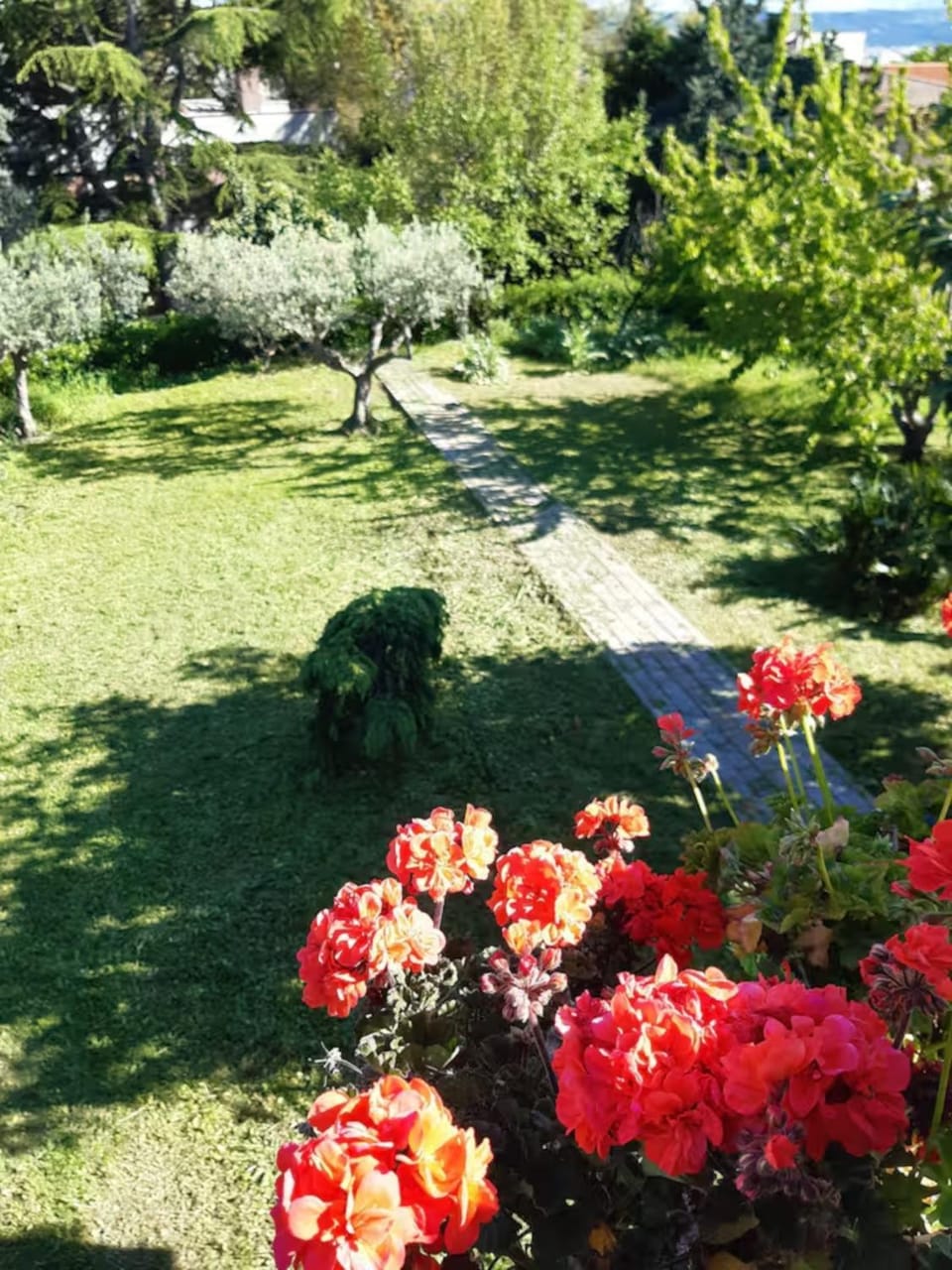 Inner courtyard view