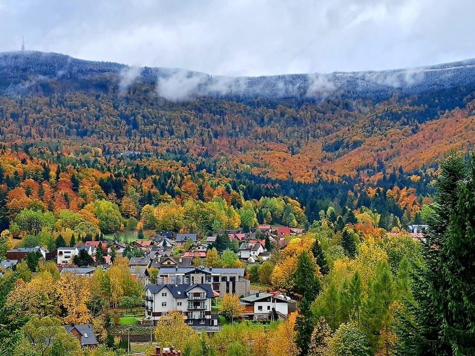 Mountain view