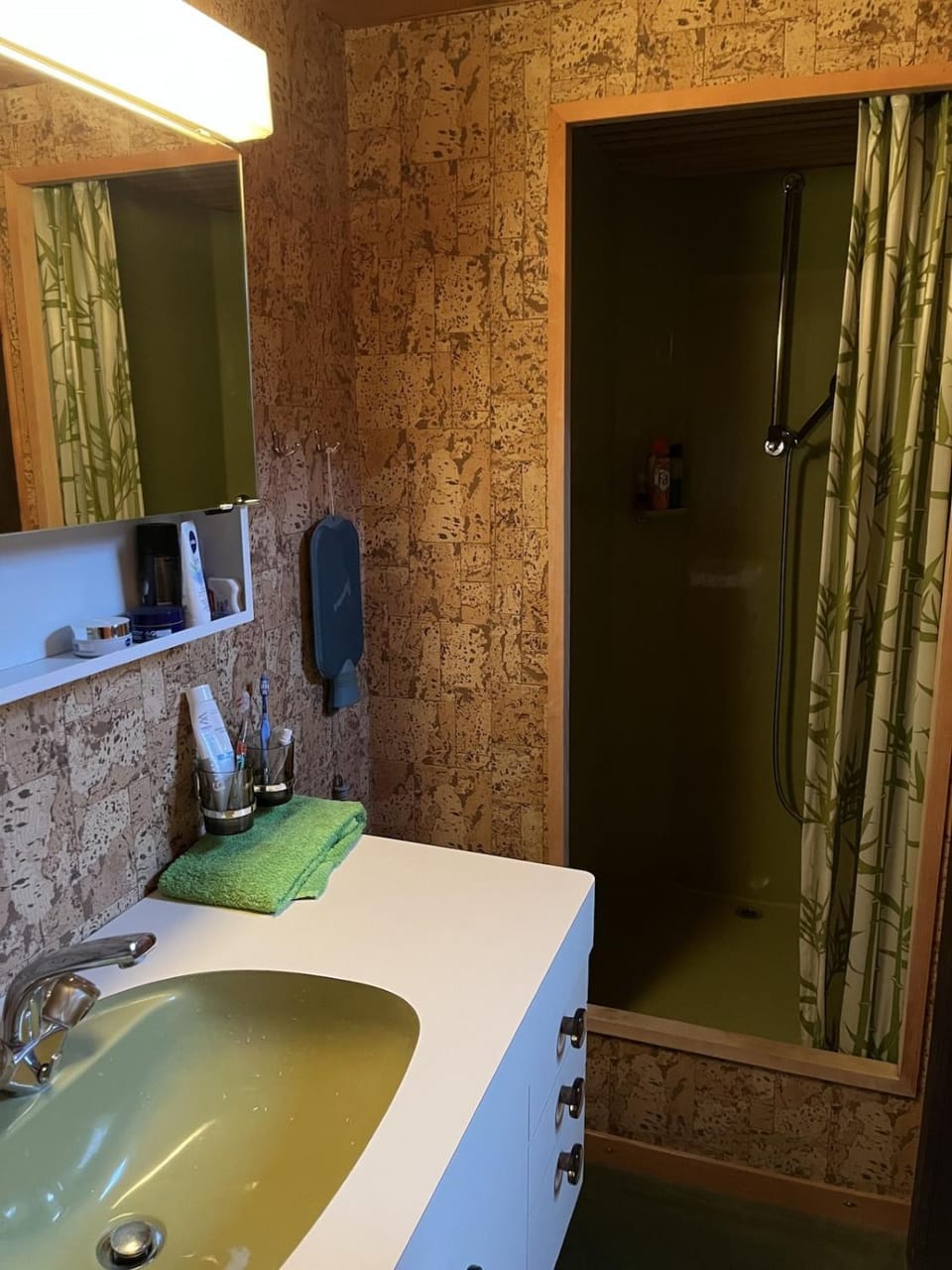 Angelina Apartment in Canton of Grisons