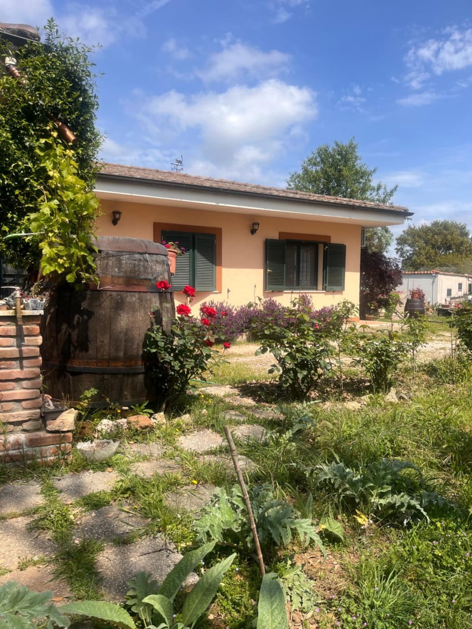 Camera Ginevra Bed and Breakfast in Nettuno