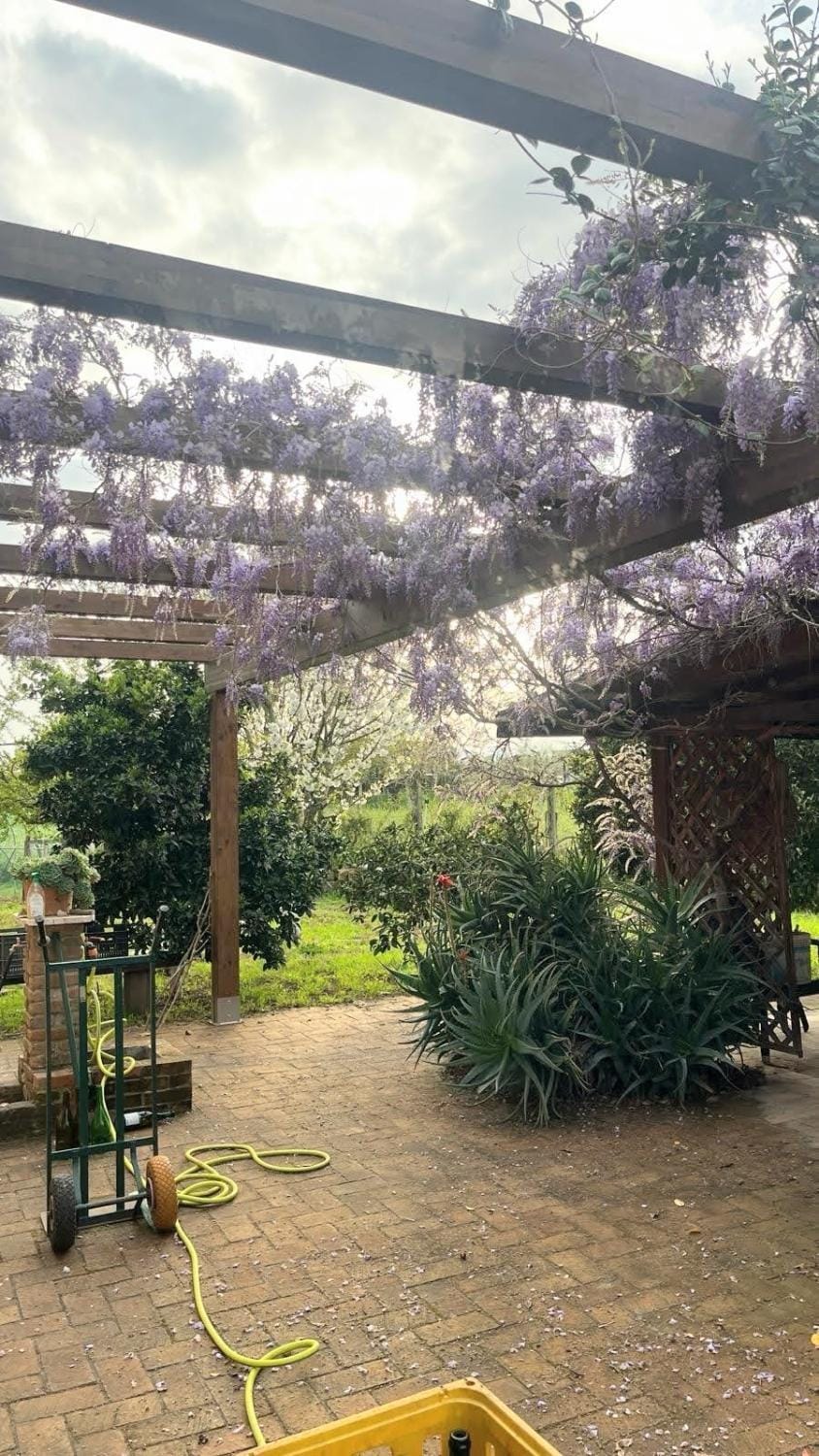 Camera Ginevra Bed and Breakfast in Nettuno