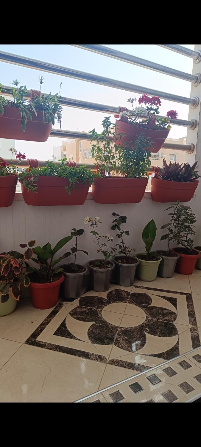 Elhouda eye Apartment in Agadir