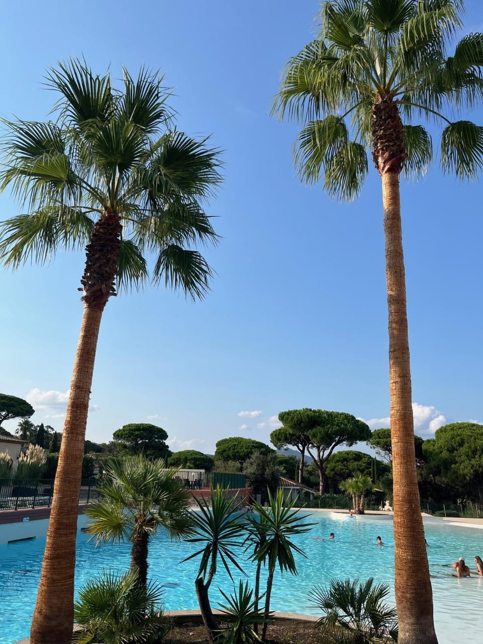 Swimming pool, Swimming pool