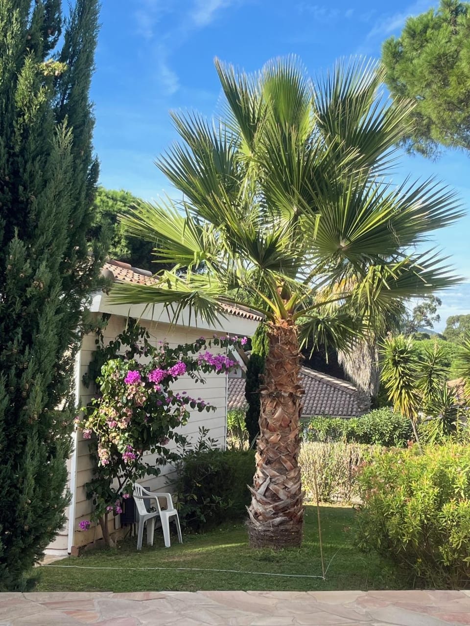 Garden, View (from property/room)