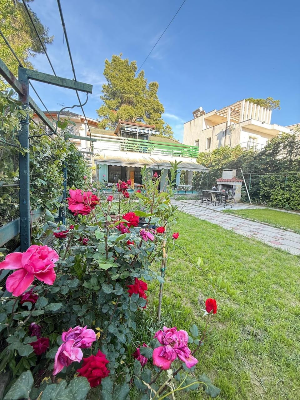 Patio, Spring, Garden, Garden view