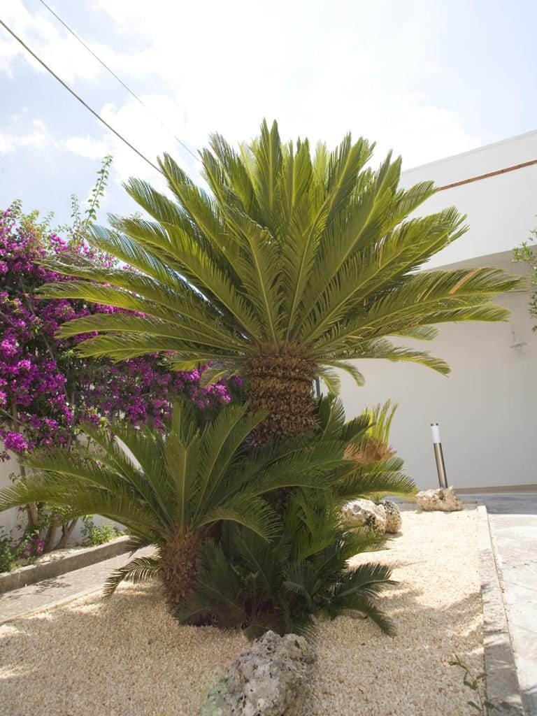 B&B Virò Bed and Breakfast in Apulia