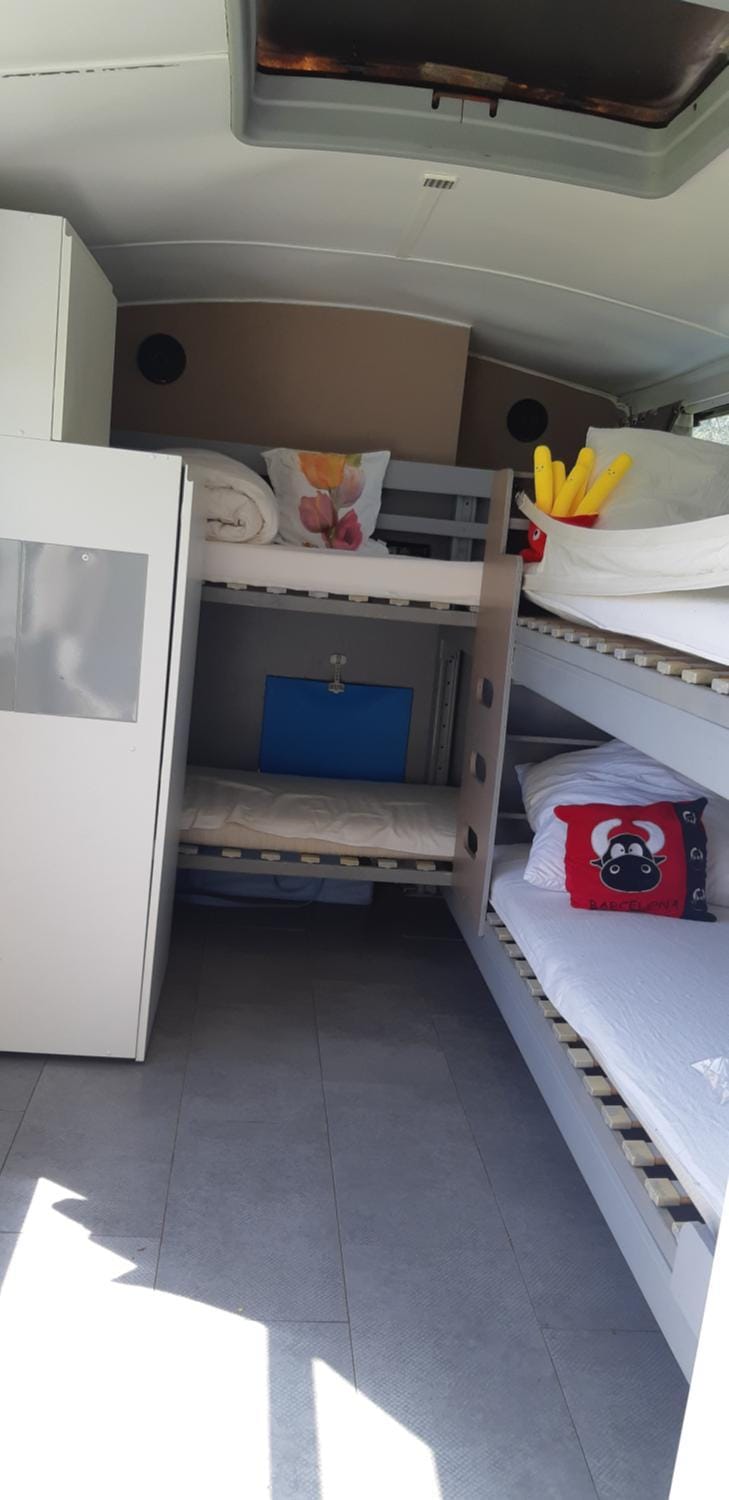 Bed, Photo of the whole room, Bedroom, bunk bed