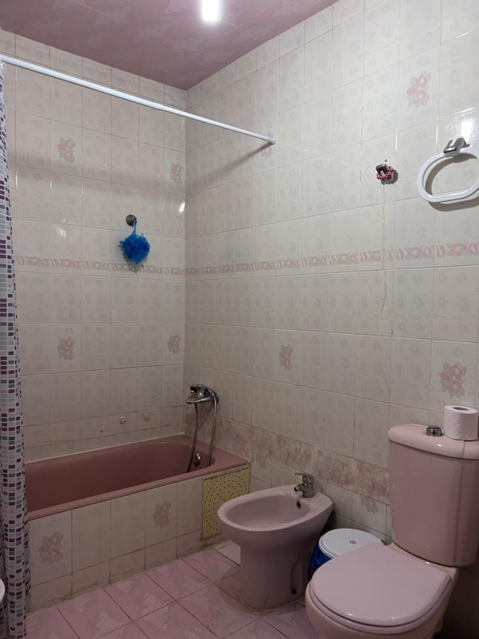 Shower, Toilet, Bathroom, bidet
