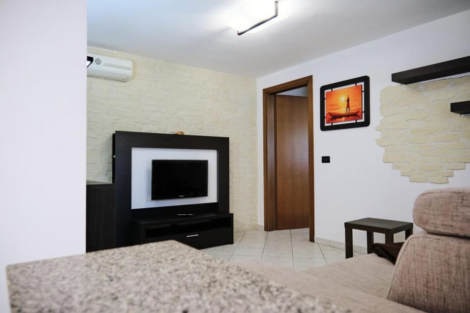 TV and multimedia