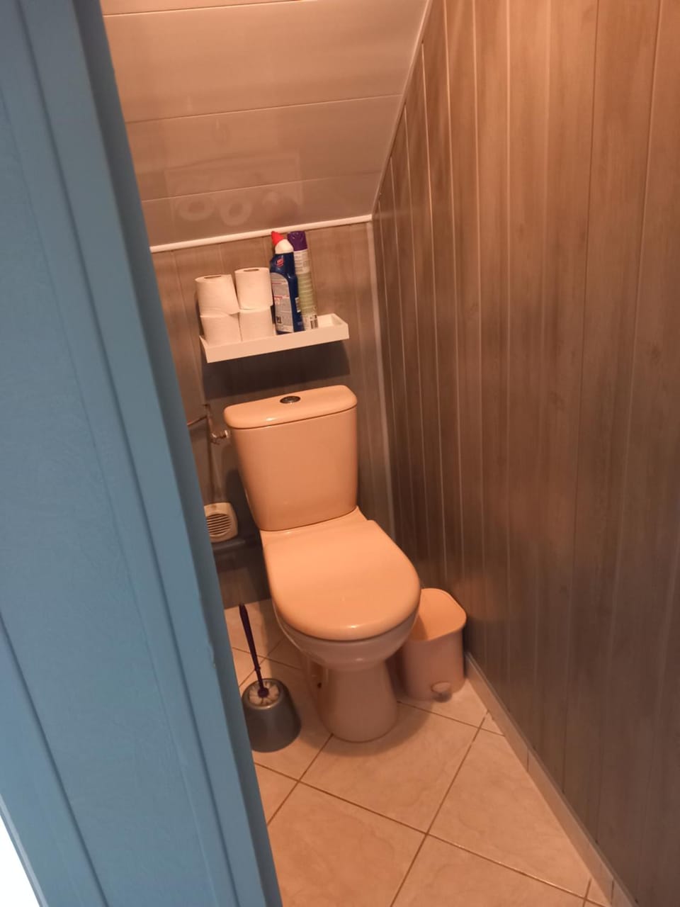 Toilet