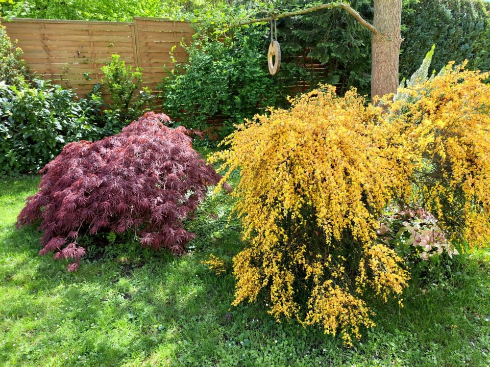 Garden, Garden