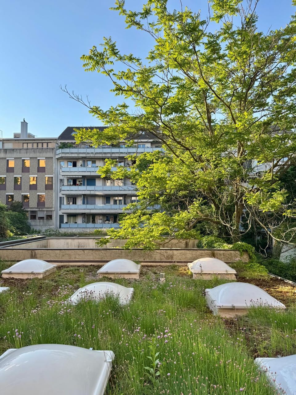 Off site, Garden view