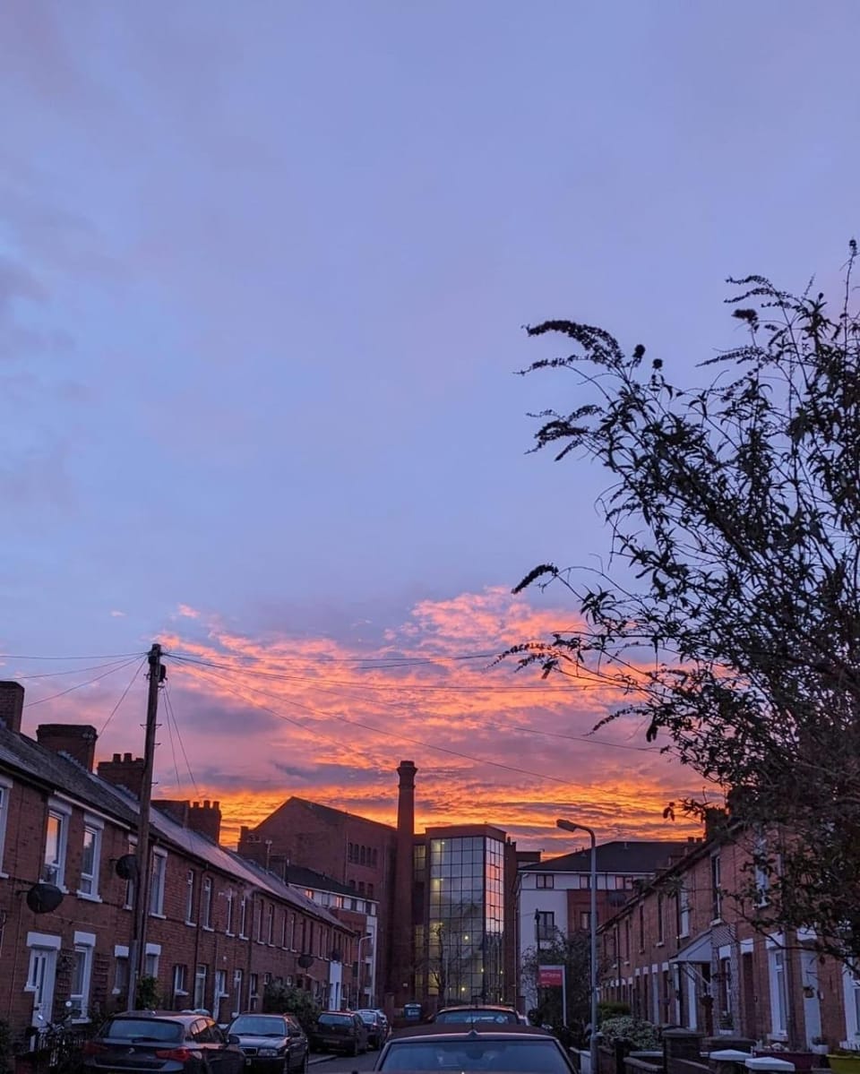 Neighbourhood, Street view, Sunrise, Sunset