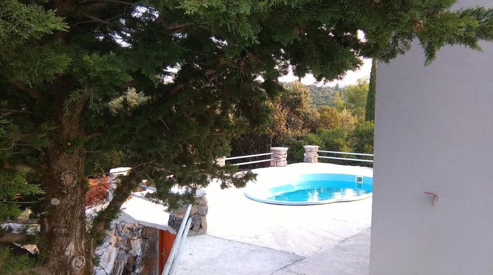 Day, Natural landscape, Garden, Garden view, Pool view, Swimming pool