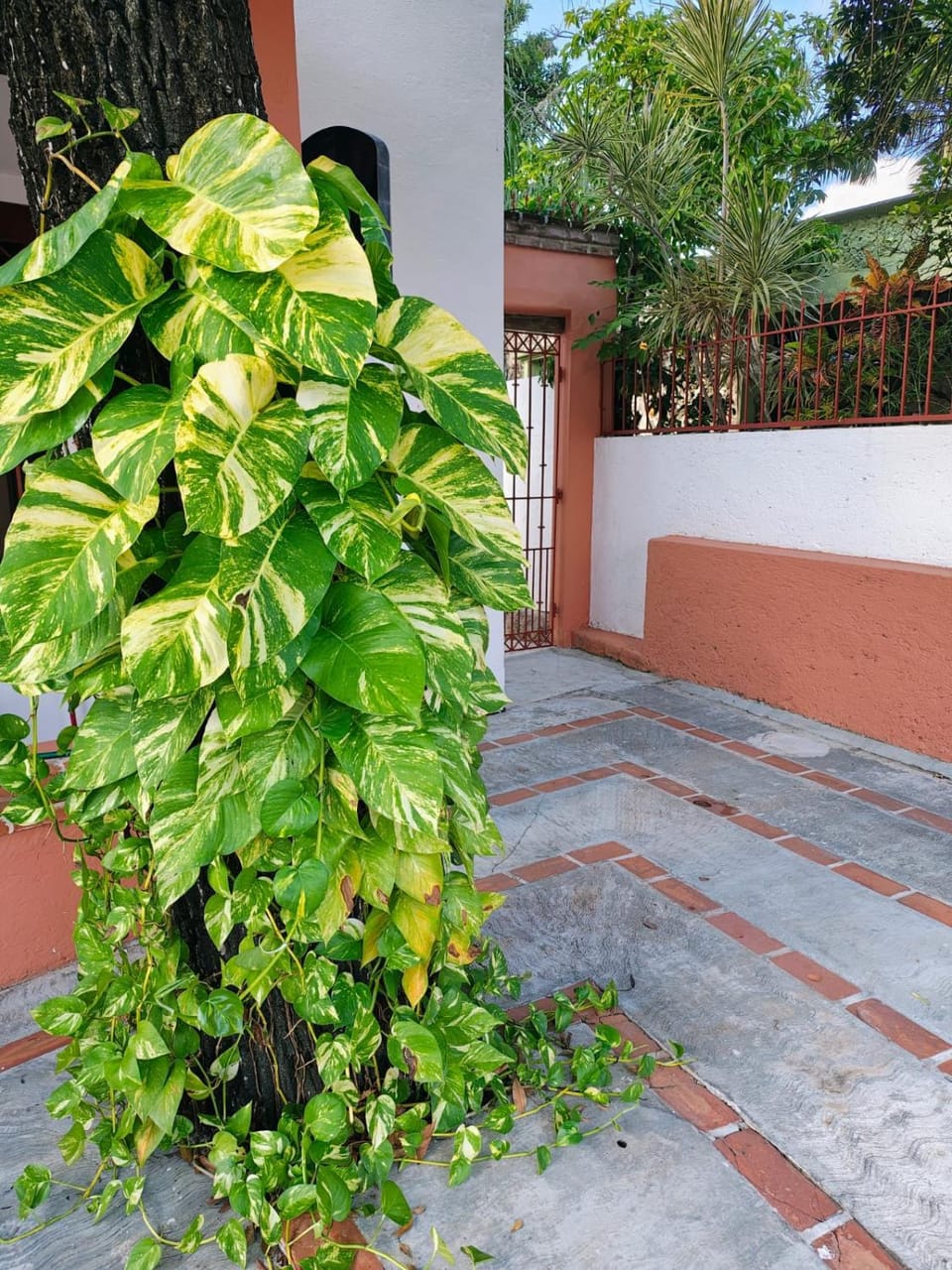 Hermosa casa mexicana en el centro de Cancún! Apartment in Cancun