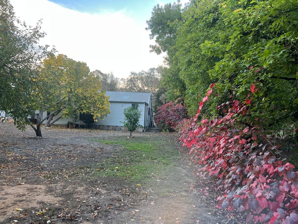 Mulberry Cottage at Blakiston House in South Australia