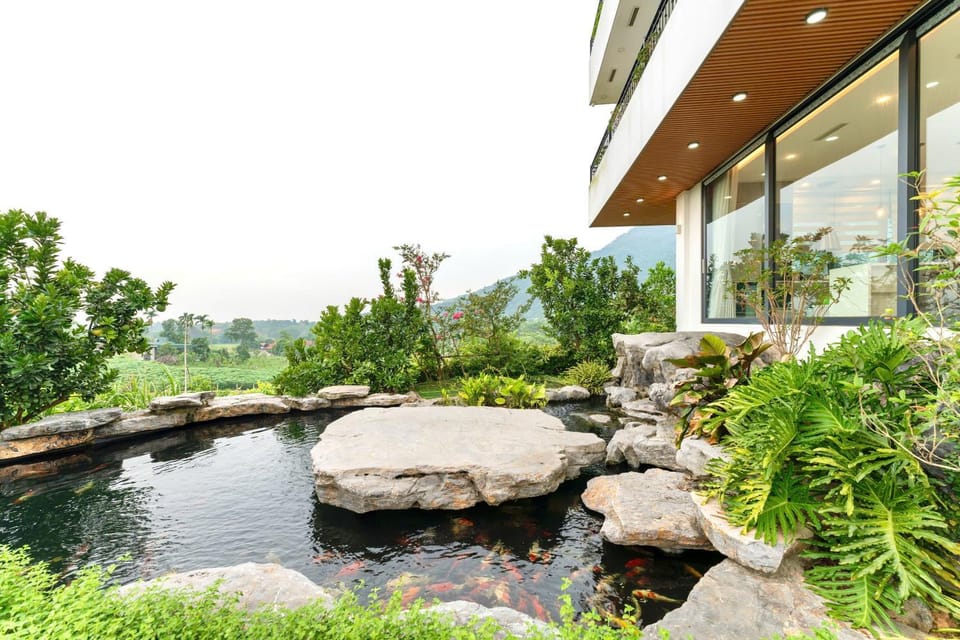 Day, Garden, Garden view