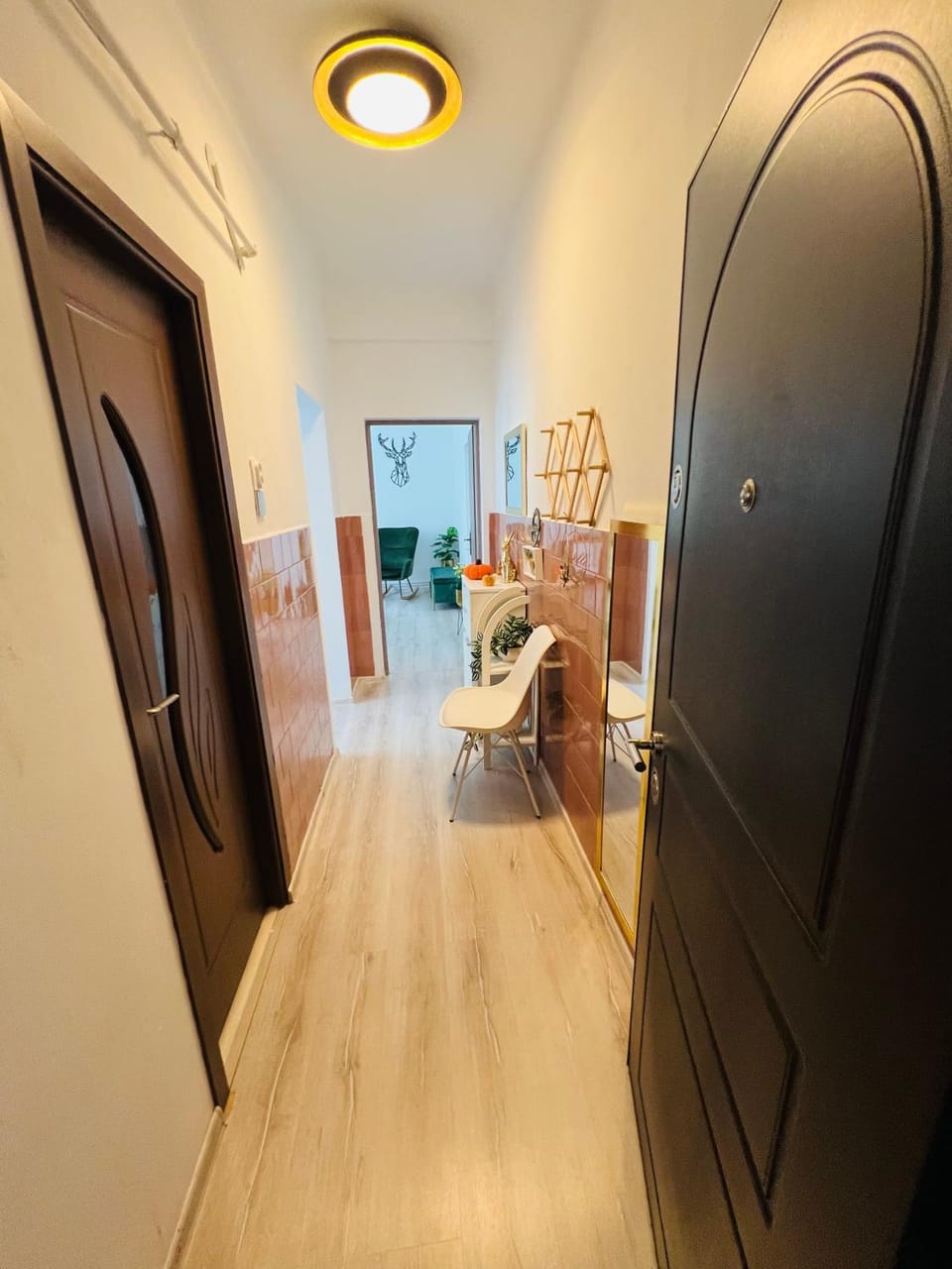 Hășmaș Peak Escape Apartment in Romania