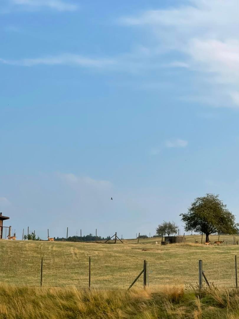 Natural landscape, View (from property/room)