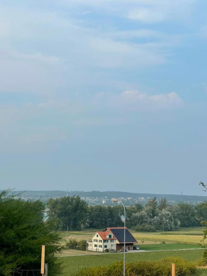 View (from property/room), Lake view