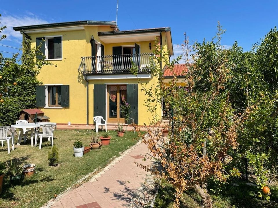 Property building, Garden, Garden, Garden view