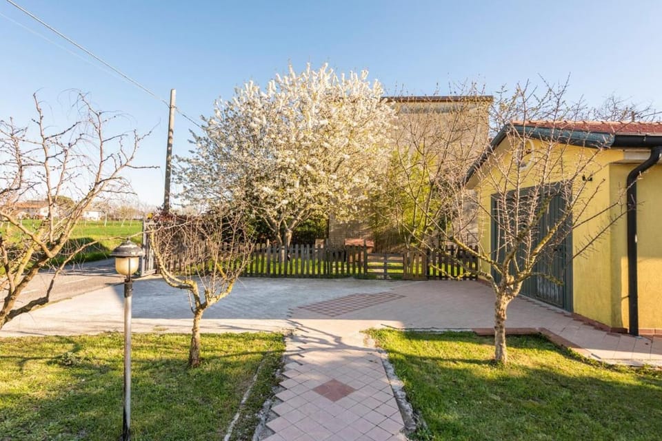 Spring, Day, Natural landscape, Garden, Garden, Garden view