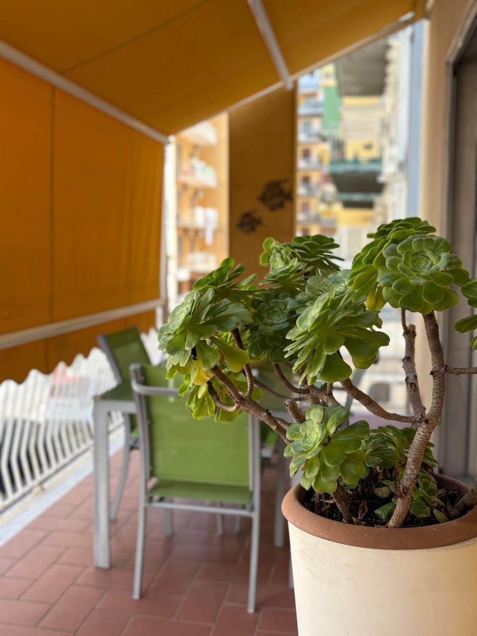 View (from property/room), Balcony/Terrace