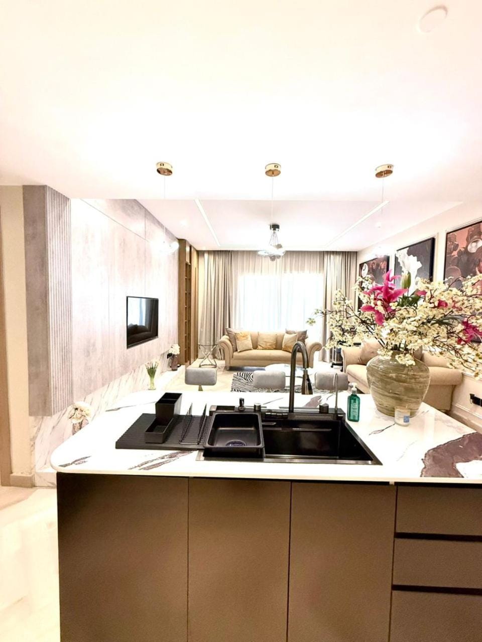 Kitchen or kitchenette, Living room