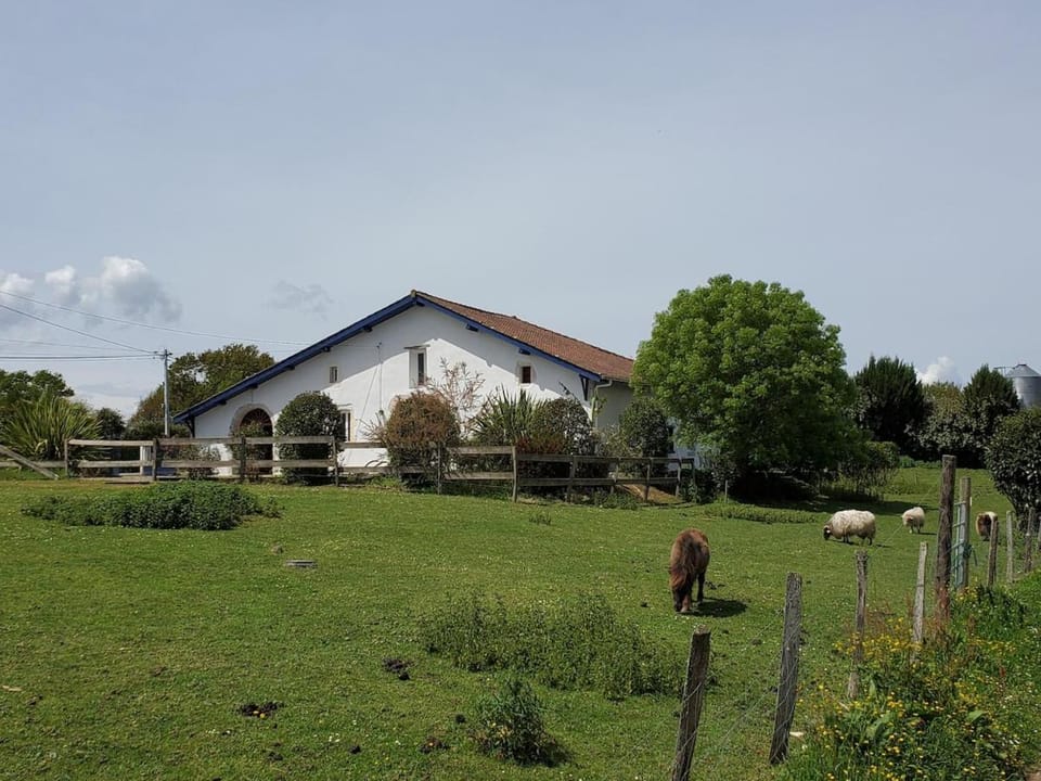 Maison avec piscine entre océan et campagne House in Nouvelle-Aquitaine