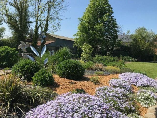 Garden view