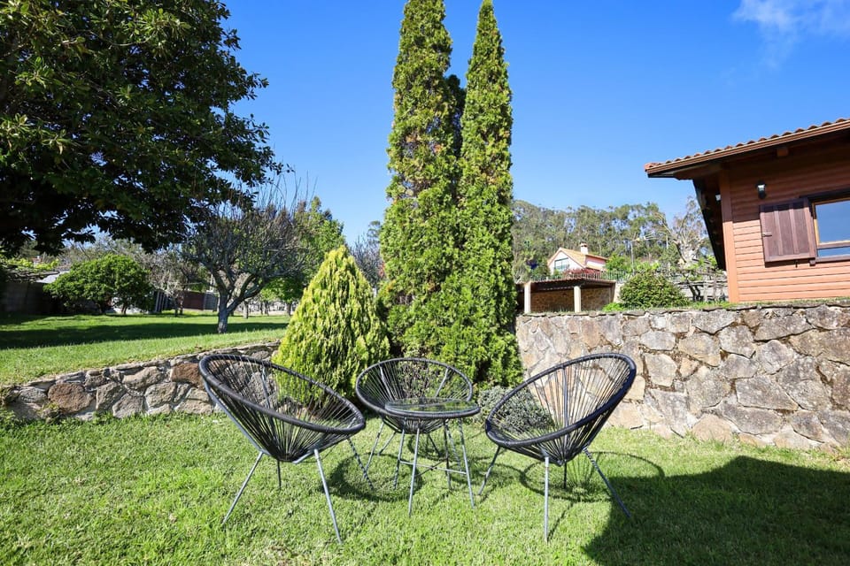 Patio, Garden, Garden view
