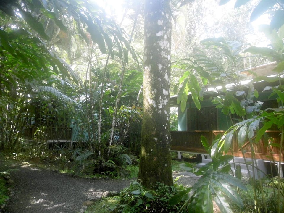 View (from property/room)
