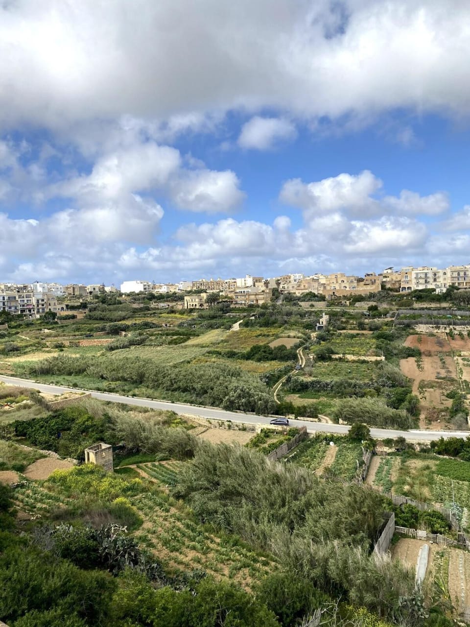 Natural landscape
