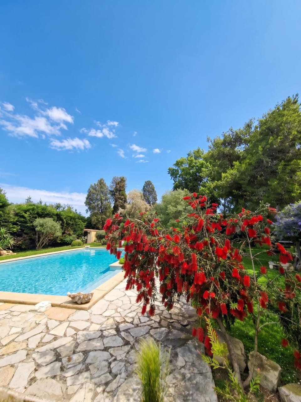 Pool view